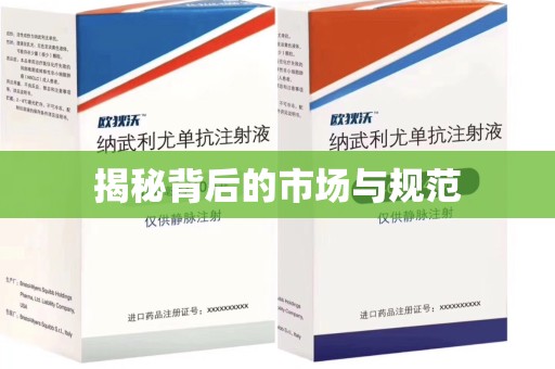 沈阳揭秘背后的市场与规范