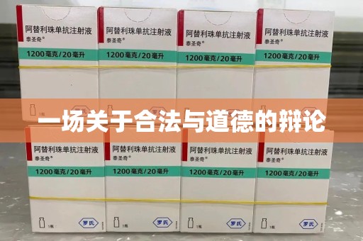 沈阳一场关于合法与道德的辩论