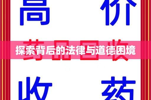 沈阳探索背后的法律与道德困境