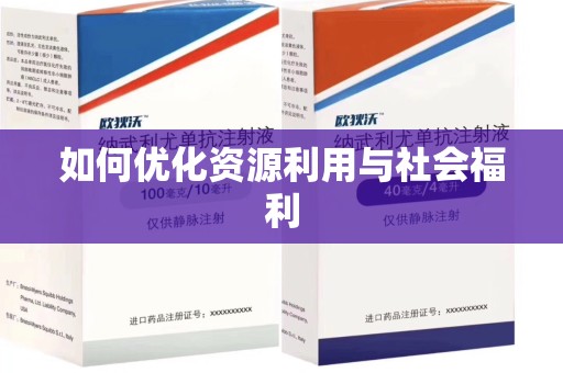 沈阳如何优化资源利用与社会福利