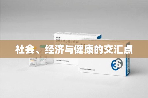 沈阳社会、经济与健康的交汇点