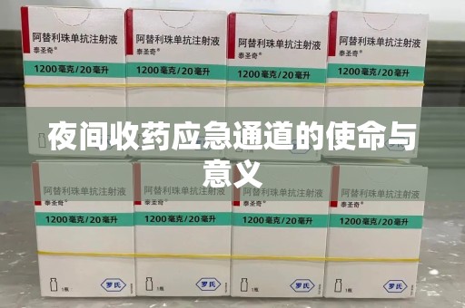 沈阳夜间收药应急通道的使命与意义