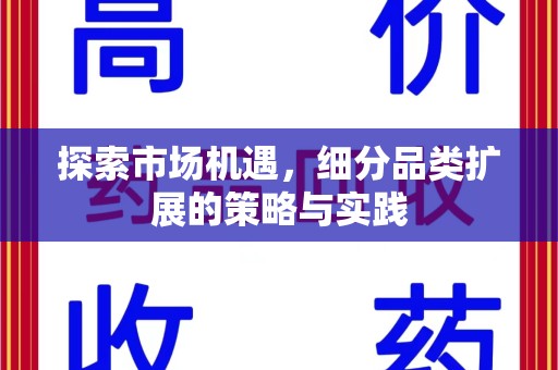沈阳探索市场机遇，细分品类扩展的策略与实践