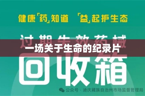 沈阳一场关于生命的纪录片