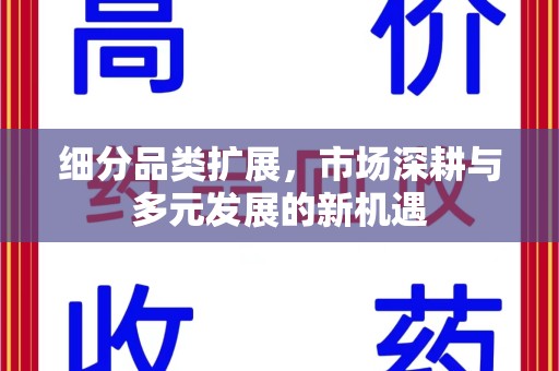 沈阳细分品类扩展，市场深耕与多元发展的新机遇