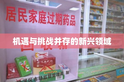 沈阳机遇与挑战并存的新兴领域