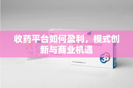 沈阳收药平台如何盈利，模式创新与商业机遇