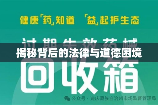 沈阳揭秘背后的法律与道德困境