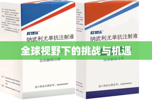 沈阳全球视野下的挑战与机遇