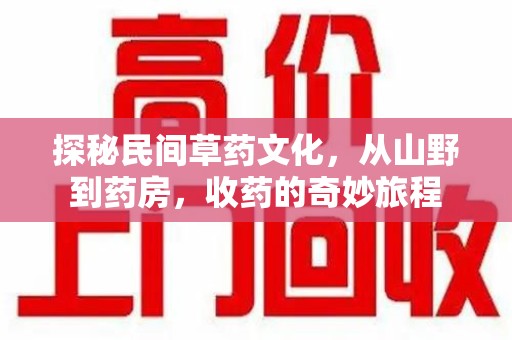 沈阳探秘民间草药文化，从山野到药房，收药的奇妙旅程
