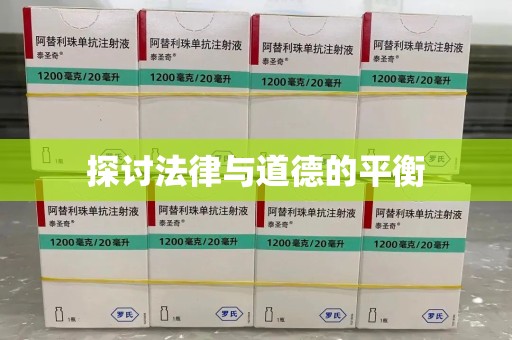 沈阳探讨法律与道德的平衡
